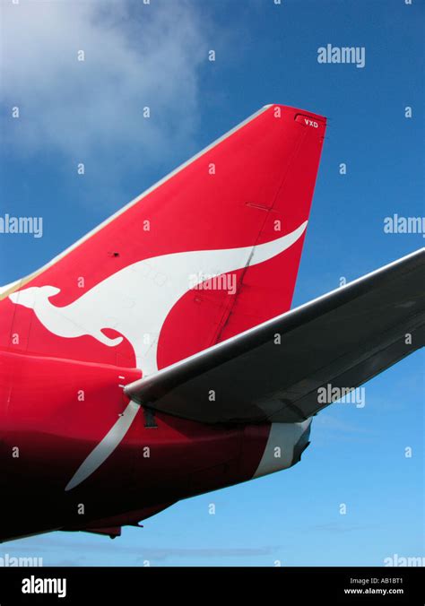 Qantas Airline Logo On Plane Tail Stock Photo 7283136 Alamy