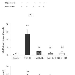 Sal B Attenuated Tgf Induced T R I And Smad Phosphorylation And