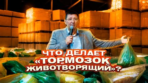 Что делает «тормозок животворящий»? 🛍️ - YouTube