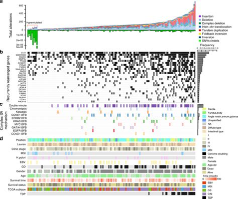 Whole Genome Sequencing Reveals Novel Tandem Duplication Hotspots And A