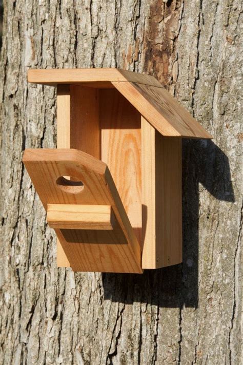 White-breasted Nuthatch Cedar Bird House - Etsy | Bird house kits, Bird ...