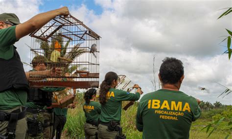 Biopirataria O Que É