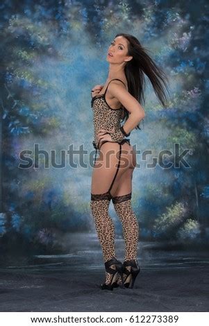 Brunette Model Posing Leopard Print Lingerie Stock Photo 612273389 Shutterstock