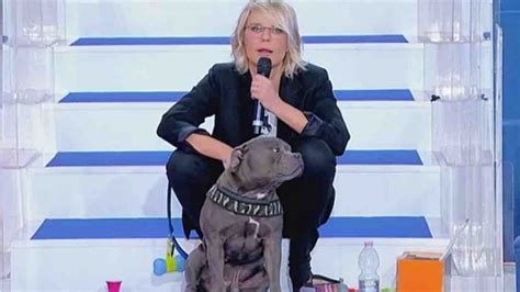 Uomini E Donne Cambia Maria De Filippi Chiude Le Puntate Con Lo Spot A