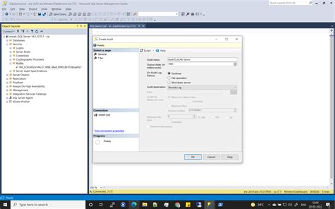 SQL Server Audit Feature Set Up