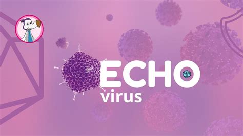 ECHOvirus DoDoctor UDocz