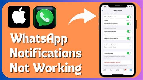 How To Fix WhatsApp Notifications Not Working In IPhone IPad IOS