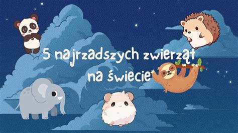 5 najrzadszych zwierząt na świecie YouTube