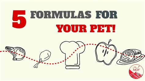 5 Formulas For Your Dog Youtube