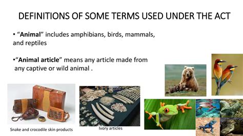 WILDLIFE PROTECTION ACT 1972 | PPT