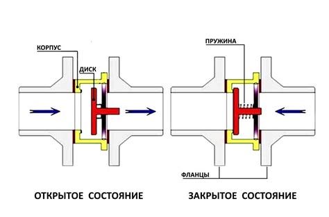 Клапан нержавеющий обратный межфланцевый фланцевый тарельчатый AISI 316 ...