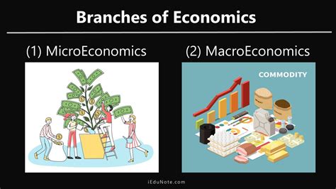 Microeconomics Definition Meaning Theories Assumptions