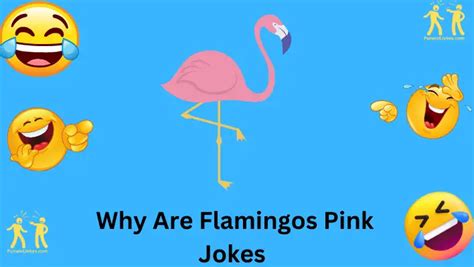 57+ Funniest Jokes Explaining Why Flamingos Are Pink