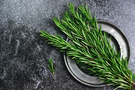 What Does Rosemary Taste Like A Comprehensive Guide To The Flavor Of