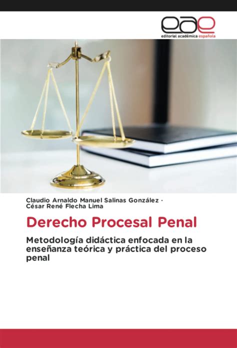 Derecho Procesal Penal Metodolog A Did Ctica Enfocada En La Ense Anza