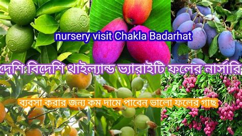 Nursery Visit মাদার বাগান সহ ফল গাছের নার্সারি Green World Nursery