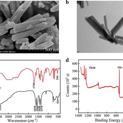 A SEM Image Of The As Prepared Tb MOF B TEM Image Of The As Prepared