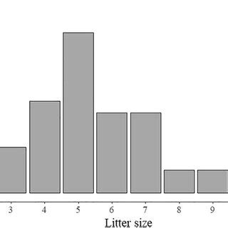 Pdf Reproductive Performance And Sex Ratio Adjustment Of The Wild Boar Sus Scrofa In South Korea