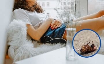 Descubren Una Cucaracha Muerta En La Vagina De Una Mujer