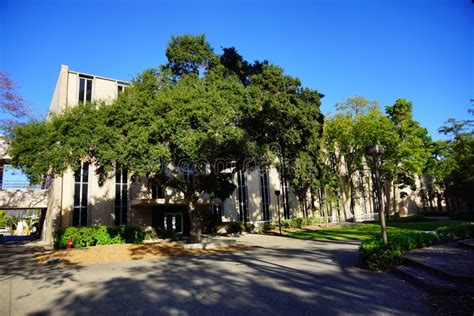 The campus of Caltech stock image. Image of beckman - 135797039