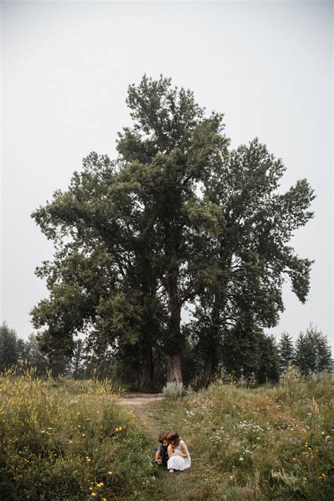 Когда деревья были большими (1) — Оксана Корчагина / Фото / Камералабс