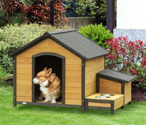 5 Best Luxury Dog Houses: A Comprehensive Buying Guide