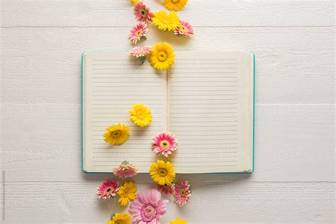 Flowers In Open Book By Stocksy Contributor Kristin Duvall Stocksy