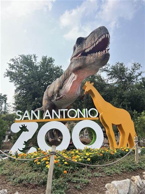 San Antonio Zoo | Soo Much to See & Zoo!