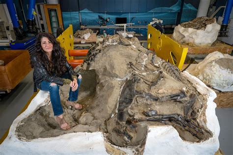 Historic discovery rewrites T. rex history