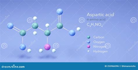 Aspartic Acid Molecular Structures Amino Acid 3d Model Structural Chemical Formula And Atoms