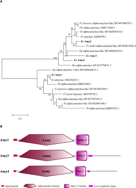 Frontiers Inhibited Expression Of Amylases And Cellulases In Crabs