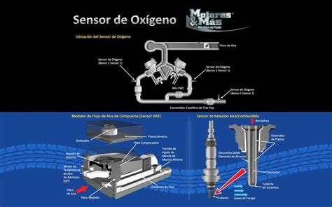 Diagrama Sensor De Oxigeno Diagrama Sensor De Oxigeno Cabl