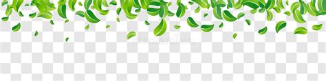 Swamp Leaf Fresh Vector Transparent Background Stock Vector