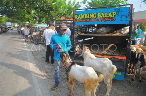 PEDAGANG BERJUALAN DI PINGGIR JALAN IMBAS PENUTUPAN PASAR HEWAN