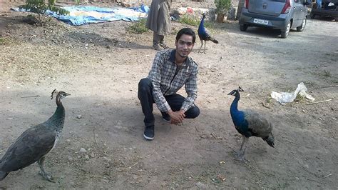 Vipul Gangwal: A Trip to "MORACHI CHINCHOLI" The Peacock Village Near Pune