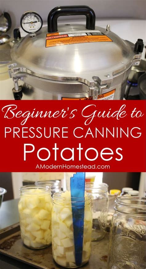 Beginner's guide to pressure canning potatoes! Man, those are SUPER ...