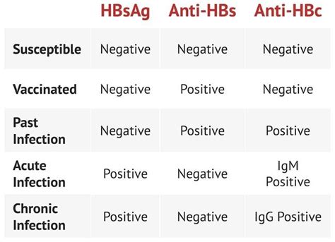 HOW DOES THE HEPATITIS B ANTIBODY TEST WORK? - WebMobistar