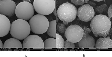 Scanning Electron Microscopy Sem Of The Surface Of Aminopropyl Silica