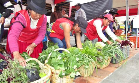 Feria de agroecología motivó la alimentación sana Qué Noticias