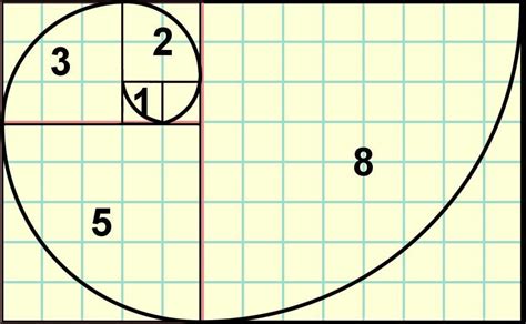 Fibonacci Sequence Series Spiral Number Code Ratio Explained