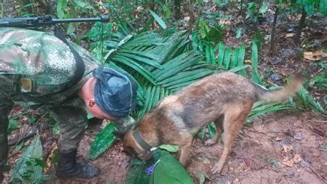 Autoridades colombianas afirman que los cuatro niños perdidos en la