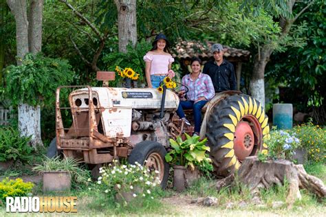 El Paseo De Los Girasoles Un Paisaje Natural Lleno De Belleza Y