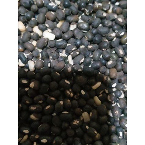 Jual Kacang Hitam Premium Kemasan 1kg Shopee Indonesia