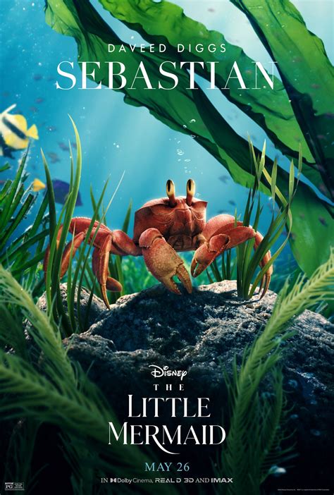 The Little Mermaid_CharacterSeries_Sebastian_v2_Lg_The Movie Blog | The ...