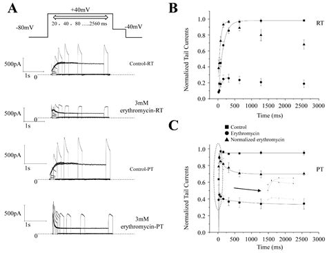 Molecules Free Full Text The Strength Of Herg Inhibition By Erythromycin At Different