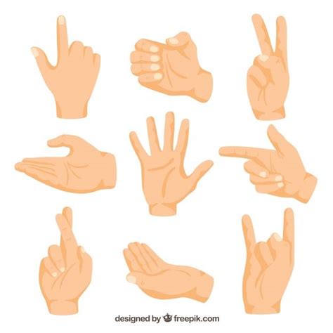 Premium Vector Hands Collection With Different Poses In Hand Drawn