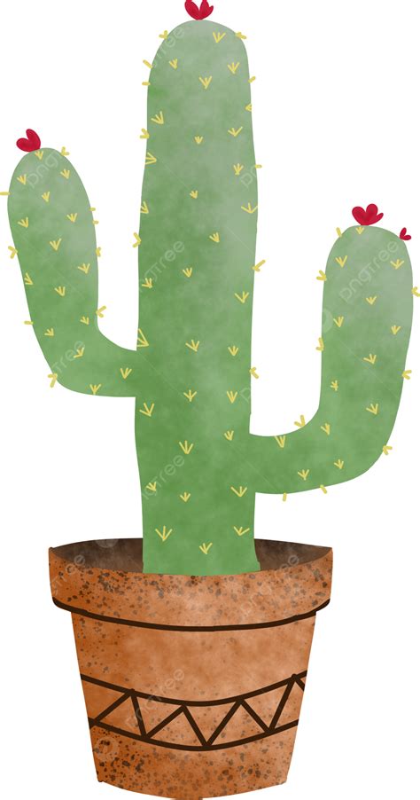 Plantas De Cactus Png Cactus Decorativo Planta Png Y Psd Para Descargar Gratis Pngtree