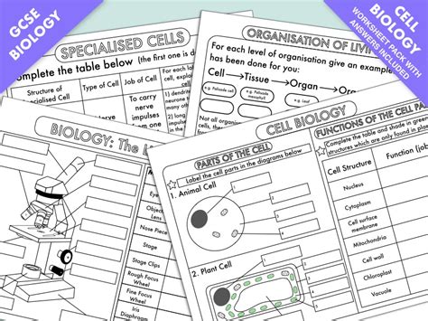 Gcse Biology Cell Biology Worksheet Pack Updated Teaching Resources