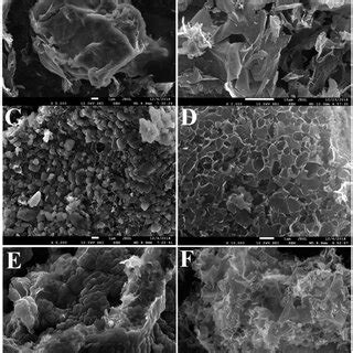 Scheme The Scheme For Preparation Of The Carbon Electrodes From The