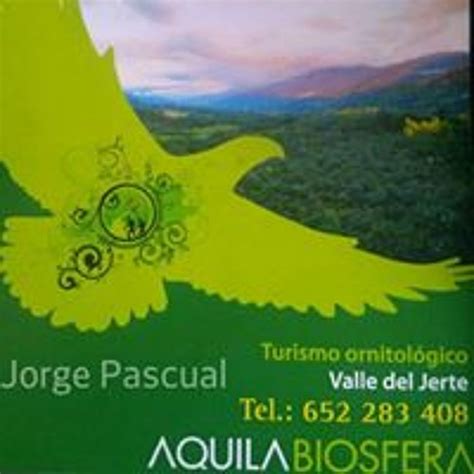 Stream Aquila Biosfera Music Listen To Songs Albums Playlists For